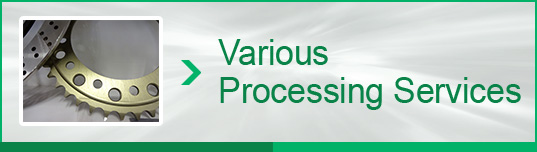 Various Processing Services